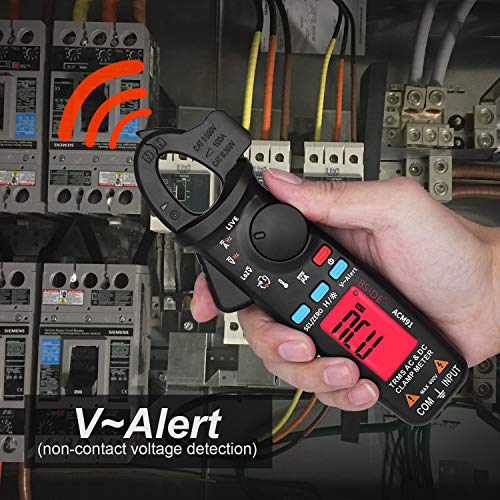 BSIDE ACM91 DC Clamp Meter True RMS 6000 Counts Digital Multimeter Temperature Live Check Low Impedance Tester with Back Clip